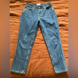 Everlane Curvy 90s Cheeky Jean - size 31